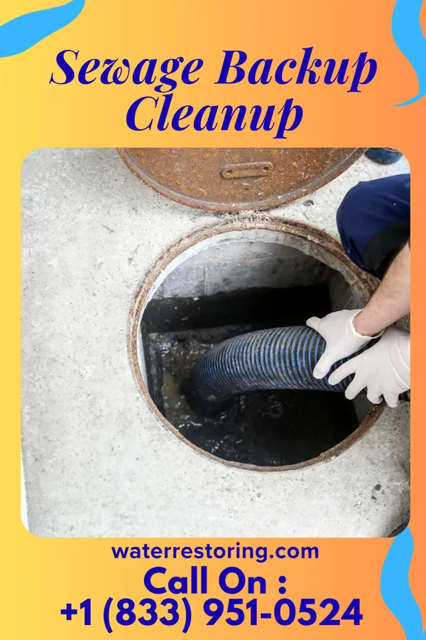 Sewage Backup Cleanup in Cajah's Mountain, NC