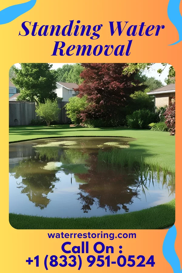 Standing Water Removal in Cajah's Mountain, NC